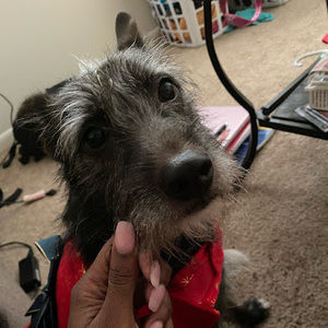 Meet your Posher, Jakayla